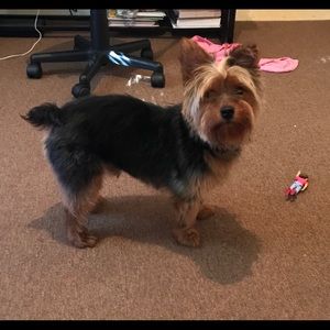 Meet your Posher, Tina